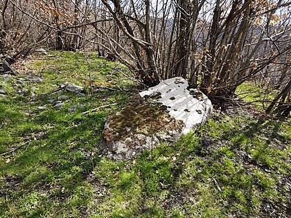 Le menhir de Troulhas