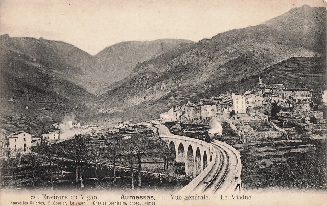 Vue générale, le viaduc (cpa) 