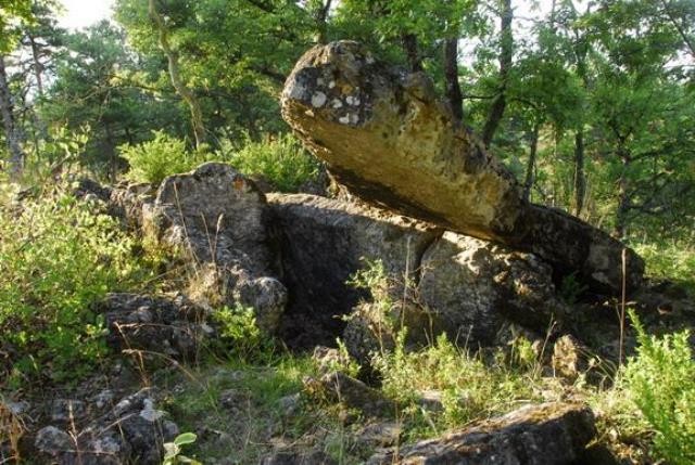 Saint jean du bruel aveyron dolmen de la balmarelesse