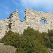 Saint jean du bruel aveyron le chateau d algues ruines